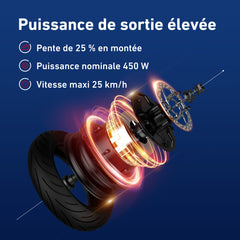 NIU KQi3 Max Trottinette électrique | Autonomie 65km